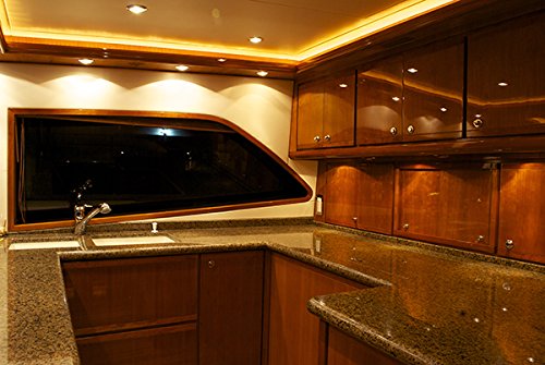 Lumitec 101049 Exuma Courtesy/Accent Light, Direct / 360 Degree, Stainless Case, White, One Size,WBLITB00976S43S